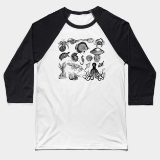 Vintage Sea Life Illustrations Baseball T-Shirt